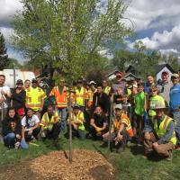Arbor Day and Median Plantings 2019