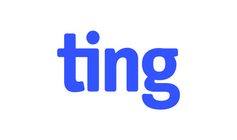 TIng logo