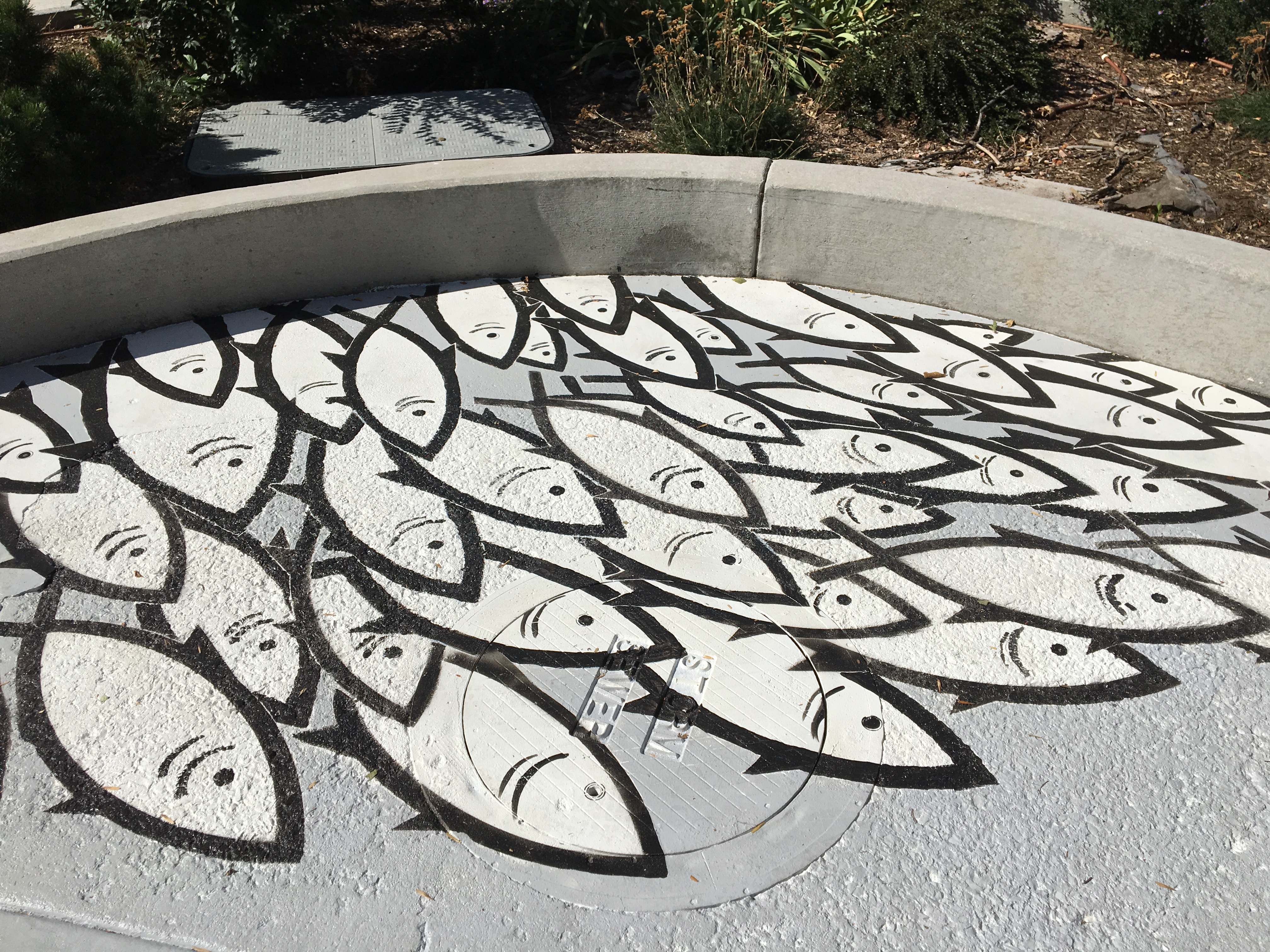 painting of school of fish over storm drain