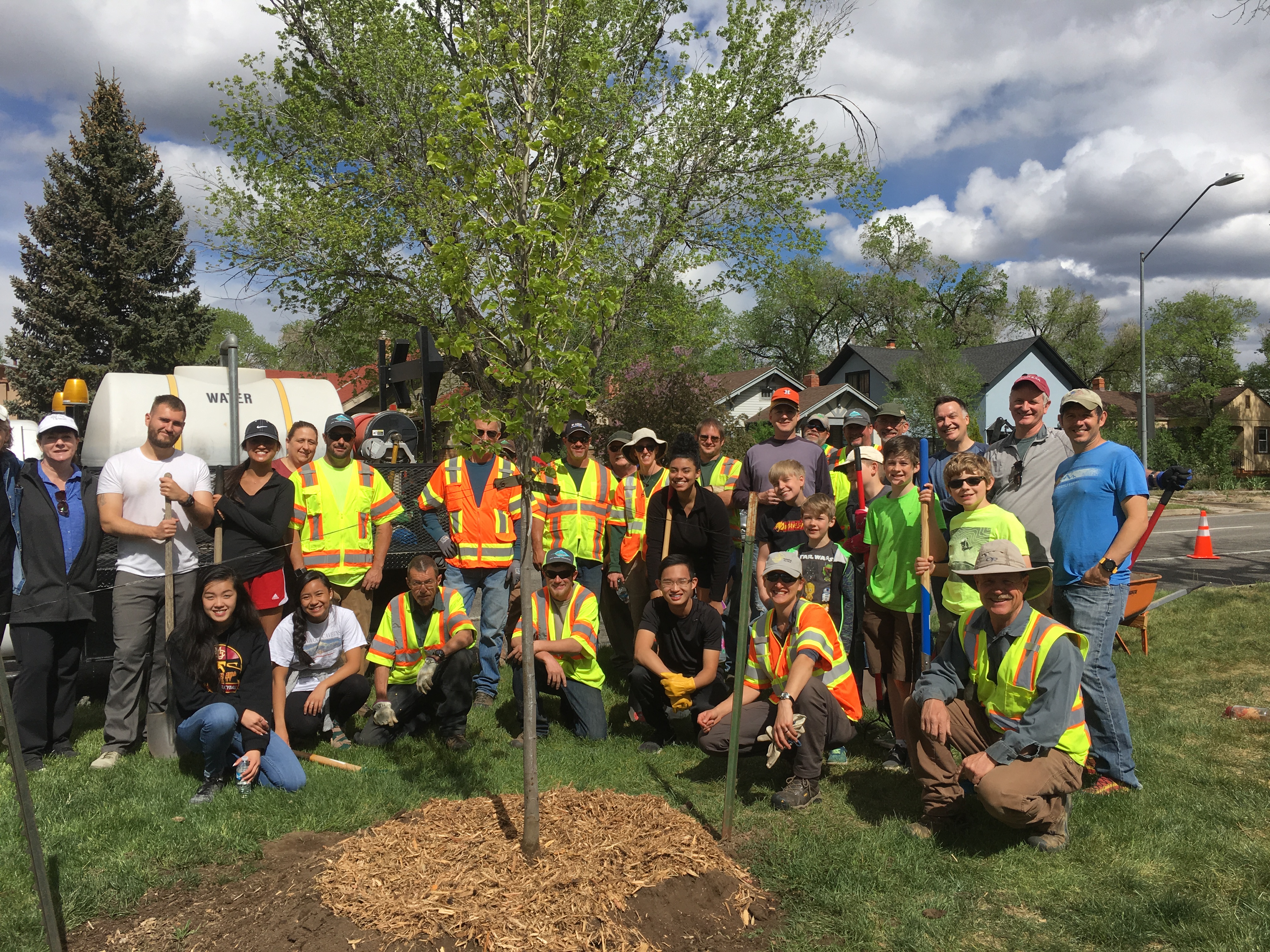 Arbor Day and Median Plantings 2019