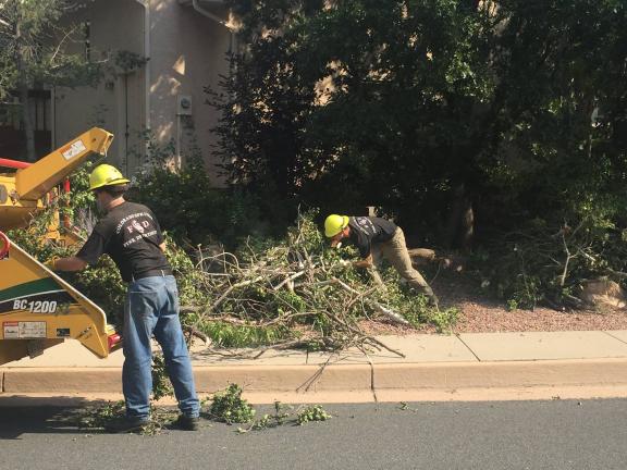 Wildfire mitigation chipping crew putting branches in chipper