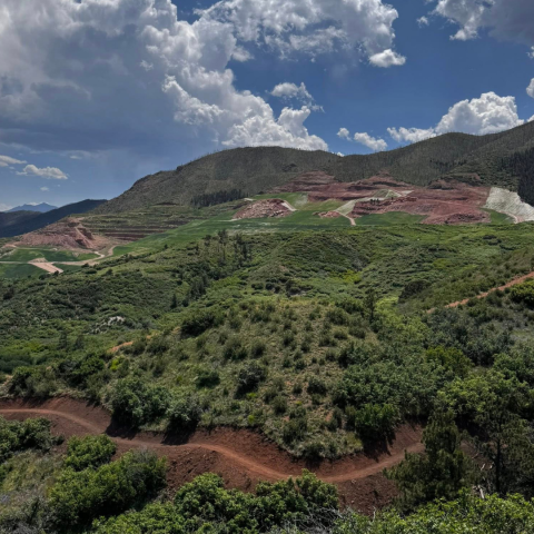 An aerial view of Blodgett Open Space with a trail.
