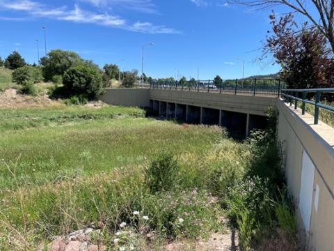 The Templeton Gap levee