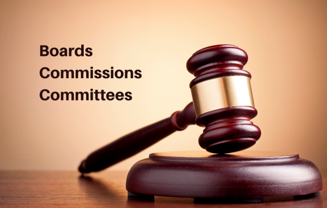 boards commissions committees