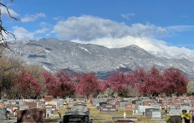 Photo of Evergreen Cemetery 