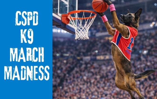 K9 March Madness, a CSPD K9 is jumping into the air with a basketball in their paws. They look like they are dunking it into a basket. 