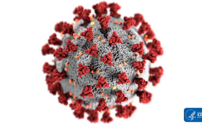 rendering of coronavirus CDC logo