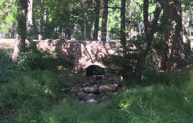 An old culvert under a stone bridge. The surrounding area is full of trees and lush undergrowth