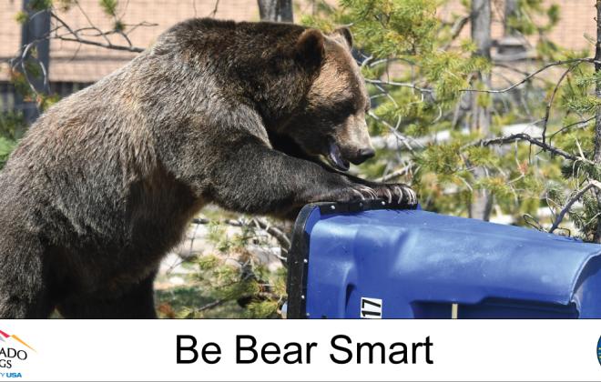 Bear trying to get into a homeowner's trash can. Be bear smart. City and Colorado Parks and Wildlife logos.
