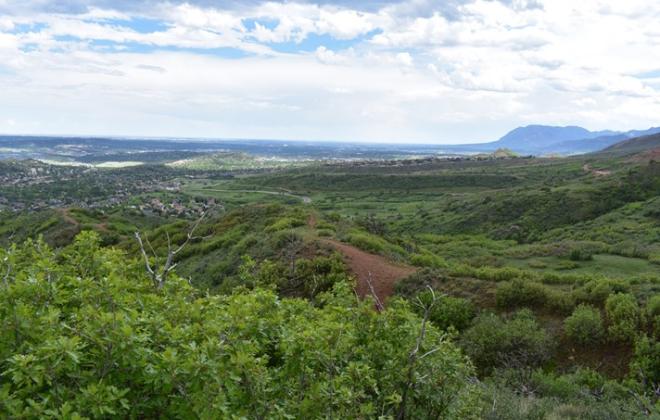 green forested hills