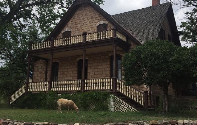 Sheep grazing in front of a home