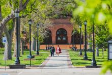 Person in graduation gown walks on tree lined sidewalk on Colorado College