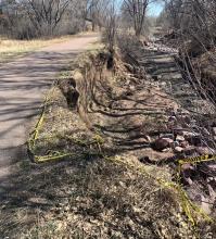severely eroded creek banks coming all the way up to a paved trail. Caution tape lays on the ground.