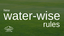 field of green grass. new water-wise rules. city logo